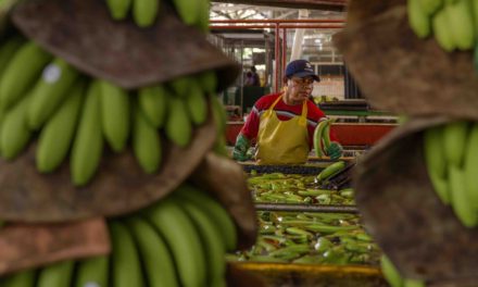 More than half of shoppers in Yorkshire and Humber put off buying ethical products due to being too expensive