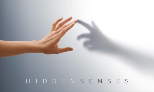 Sony presents Hidden Senses at Milan Design Week