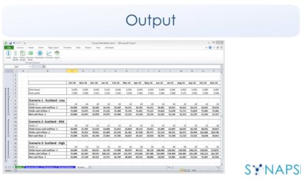 Synapse Elevates Excel to a New Secure, Scalable, Multi-user, Enterprise Class Budgeting and Forecasting Application