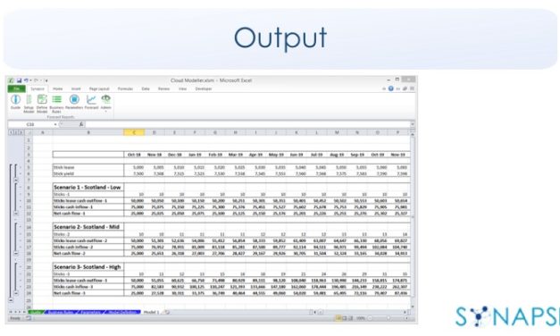 Synapse Elevates Excel to a New Secure, Scalable, Multi-user, Enterprise Class Budgeting and Forecasting Application