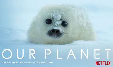 Netflix’s Our Planet | Free tickets to UK-wide Global Premiere screenings on 4th April