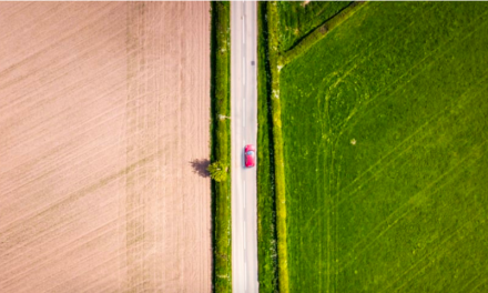 The RAC urges drivers to check their vehicles before setting out in the heat