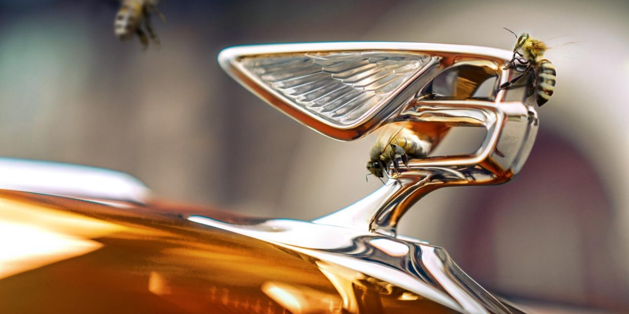 INTRODUCING BENTLEY’S NEW FLYING BEES