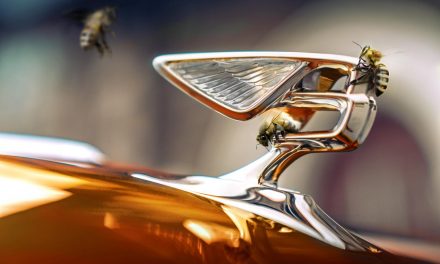 INTRODUCING BENTLEY’S NEW FLYING BEES