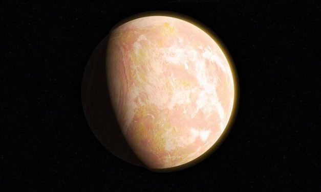 Shining (Star)light on the Search for Life