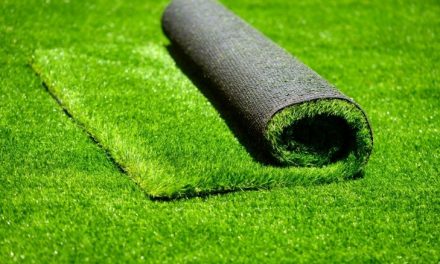 Five reasons to invest in artificial grass