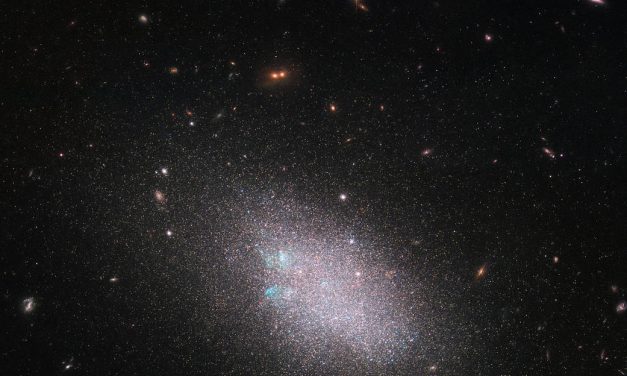 Hubble Spots a Swarm of Stars
