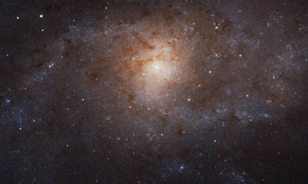 Stars Pollute, but Galaxies Recycle