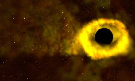 NASA’s TESS Mission Spots Its 1st Star-shredding Black Hole