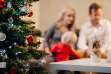 Nutrition scientists’ top ten festive foods for a delicious, nutritious Christmas