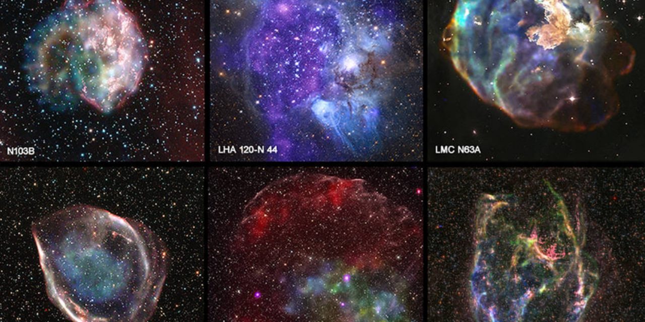 Combing Through The “X-Ray Files”