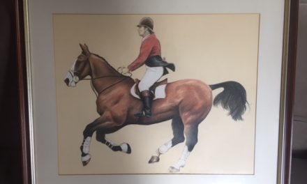 Horse rescue hoping people will jump at the chance to own a piece of show jumping history