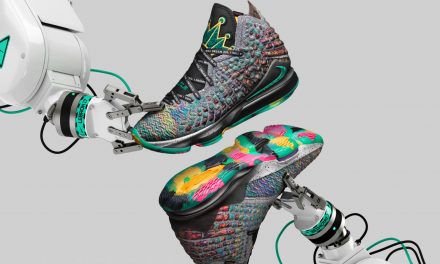 LEBRON 17 I Promise