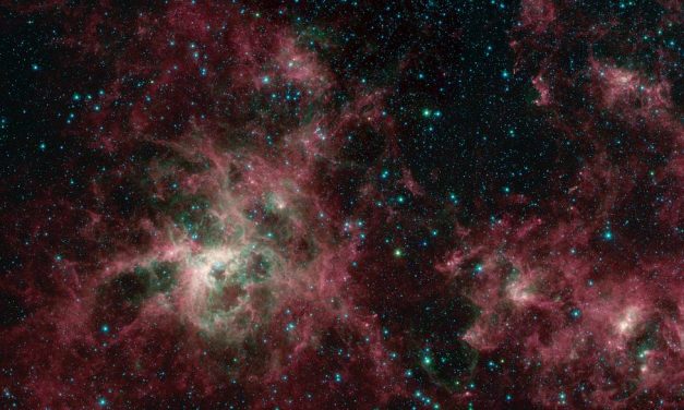 Spitzer’s View of the Tarantula Nebula