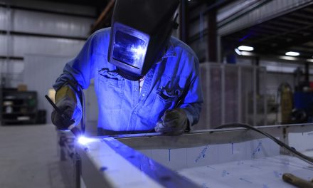 Hoffmann Group UK expands PPE division with key hire