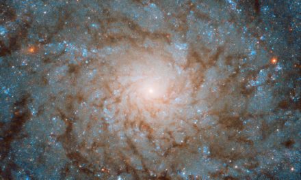 Hubble Fingerprints a Galaxy