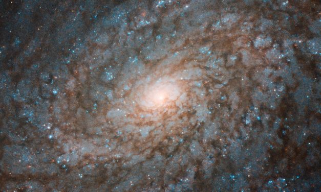 Hubble Gazes at Fluffy-Looking Galaxy