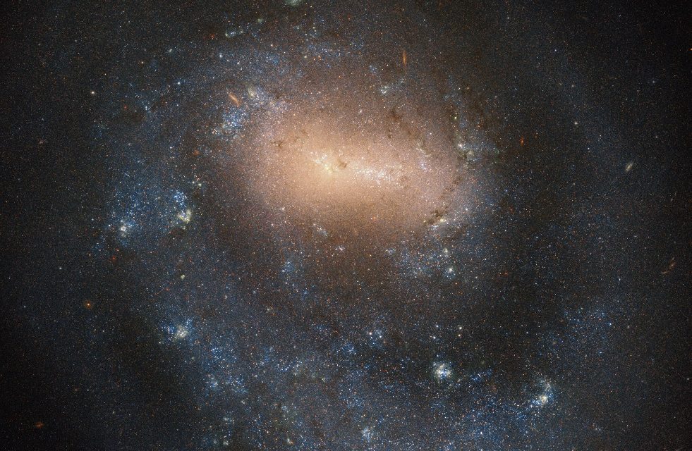 Hubble Hooks a One-Arm Galaxy