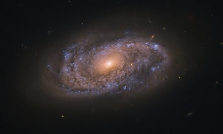 Hubble Probes Colorful Galaxy