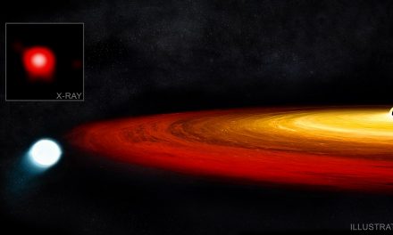 Star Survives Close Call with a Black Hole