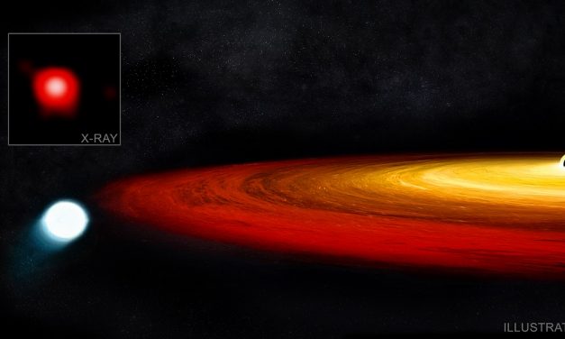 Star Survives Close Call with a Black Hole