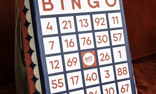 AN ALERNATIVE VARIATION OF THE LULU GUINNESS DESIGNER ‘BINGO’ BAG