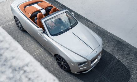 NEW IMAGES REVEAL DAWN SILVER BULLET IN ITS NATURAL HABITAT