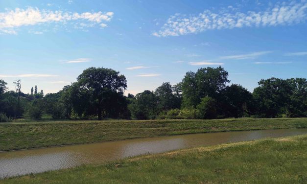 Miller Homes Sees Surge In Countryside Househunters In the West Midlands