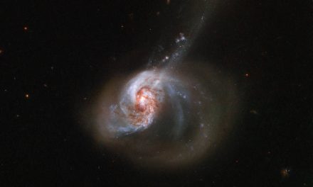 Hubble Catches a Ring of Stellar Wildfire