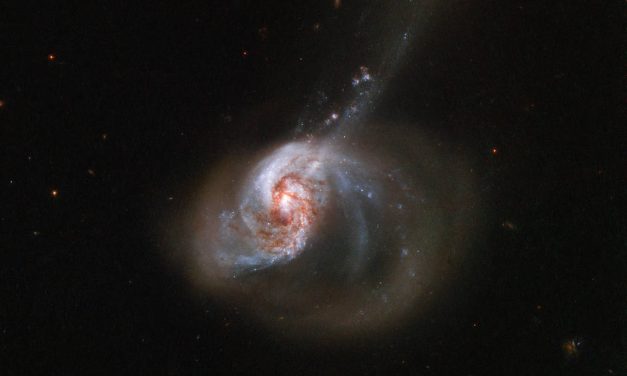 Hubble Catches a Ring of Stellar Wildfire