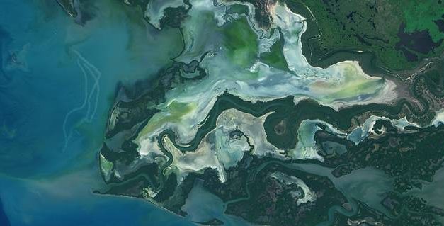 NASA Study Maps the Roots of Global Mangrove Loss