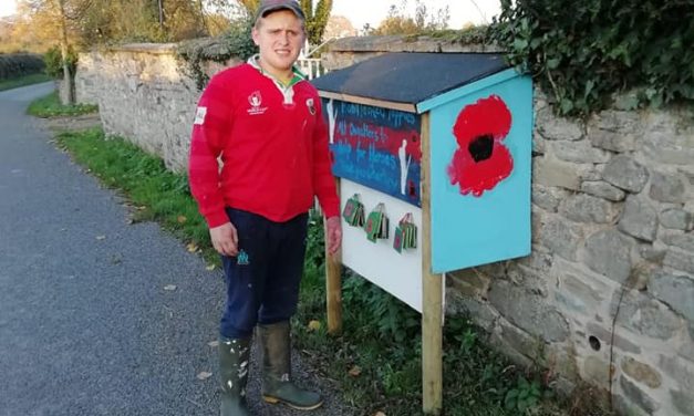 Despite having severe autism, Charlie, from Craven Arms, Shropshire creates Poppy Artwork fit for a Hero