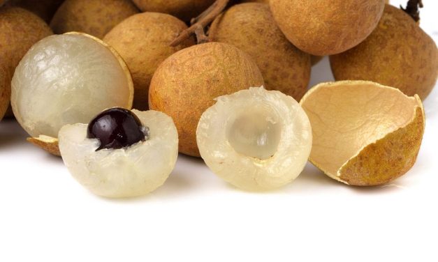 Longan: complete guide to this fruit from Southeast Asia