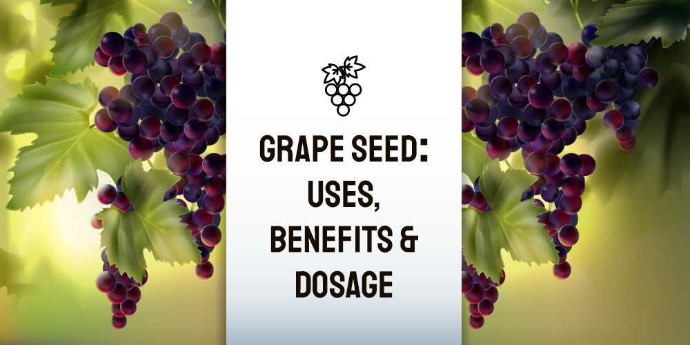 Grape Seed: Uses, Benefits, and Dosage