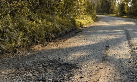 Potholes cause damage to nearly a third of cars on UK roads, finds Citroën