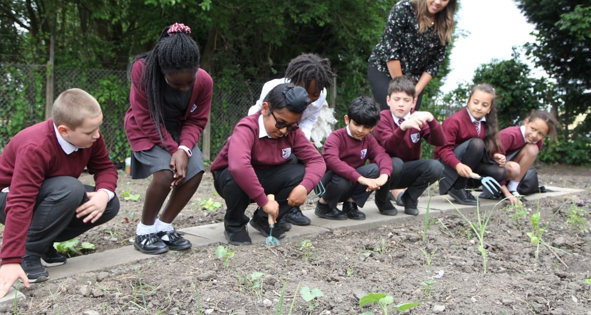 BRISTOL STREET MOTORS SUPPORTS WOLVERHAMPTON’S BACK TO EDEN COMMUNITY ALLOTMENT PROJECT