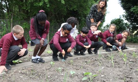 BRISTOL STREET MOTORS SUPPORTS WOLVERHAMPTON’S BACK TO EDEN COMMUNITY ALLOTMENT PROJECT