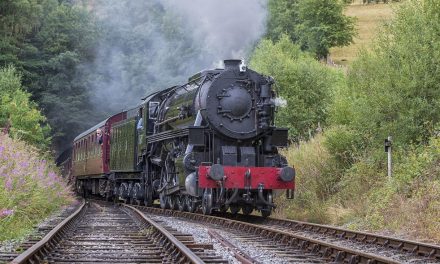 Staffordshire visitor attraction turns 25