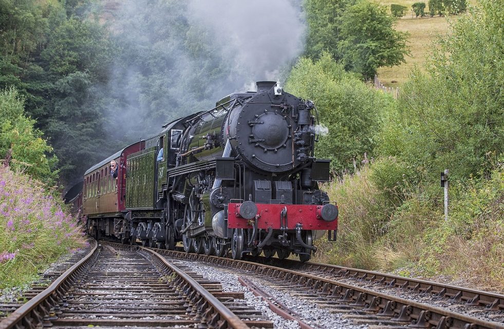 Staffordshire visitor attraction turns 25