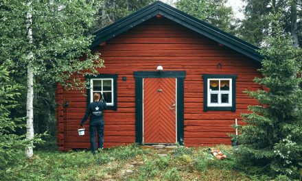 What to Expect When Building a Wooden House?