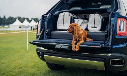 Rolls-Royce Motor Cars celebrates sporting and country pursuits