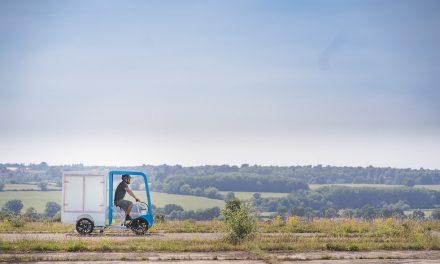 EAV demand action after world health organisation report