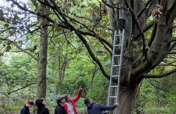 Housebuilder teams up with Warwickshire Bat Group to bust bat myths for International Bat Week