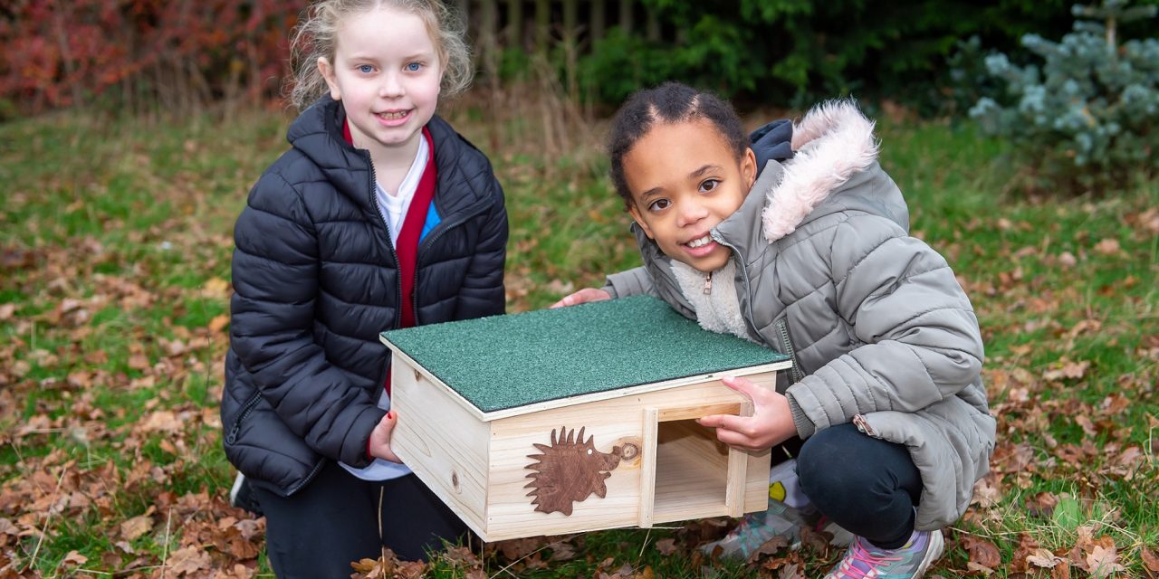Developer’s hedgehog home donation to help pupils with prickly pursuit