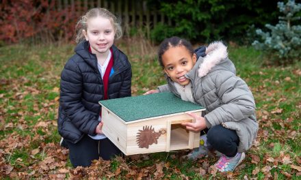 Developer’s hedgehog home donation to help pupils with prickly pursuit