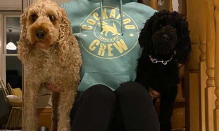 Crumble & Bert to expand dog owners’ community with launch of new mixed breed product ranges