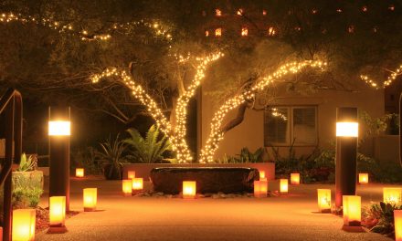 Q: What do I need to know in terms of electrics when fitting new lights in the garden?
