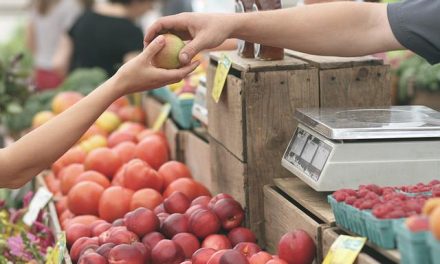 Why Are Sunday Markets So Popular with Gen Z?