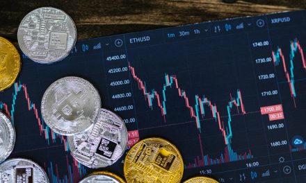 Building a Successful Cryptocurrency Exchange for a Global Audience