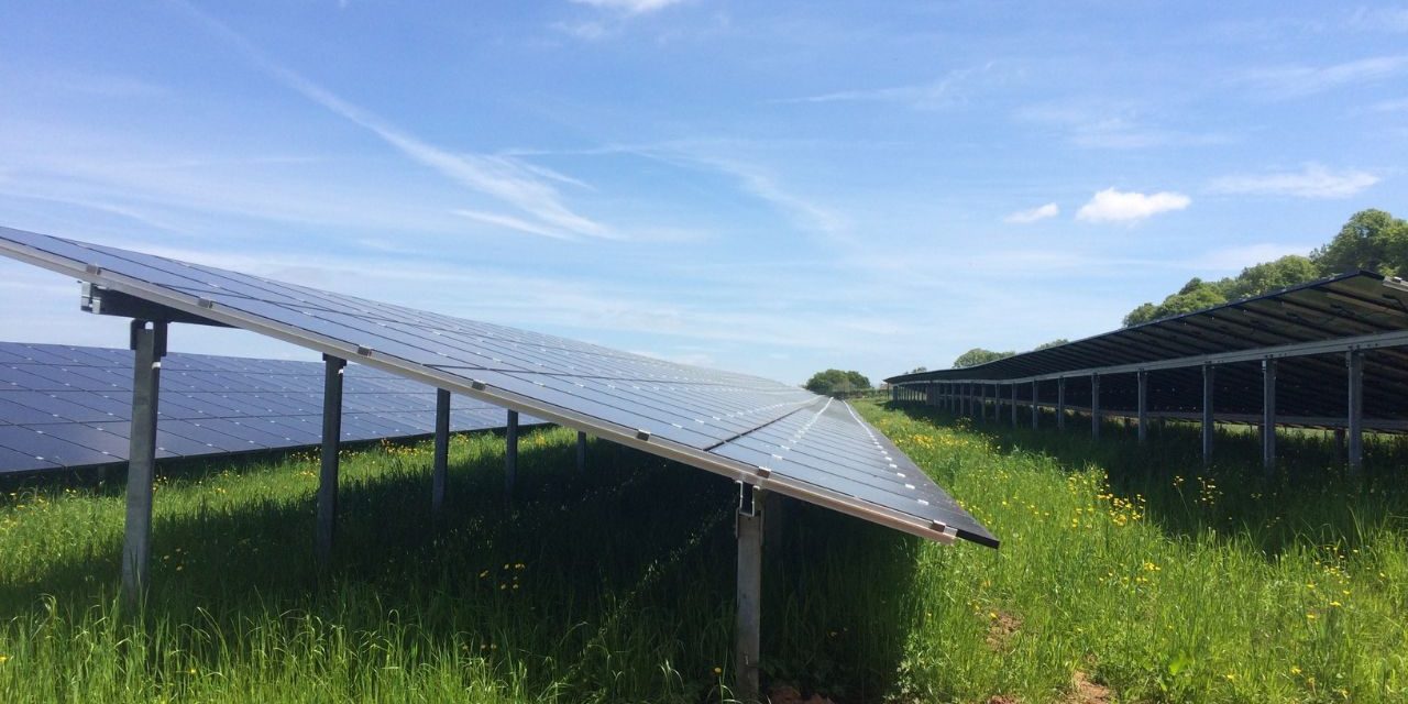 Plans revealed for new Shropshire solar farm